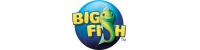 Big Fish Games 