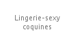 Lingerie-sexy-coquines