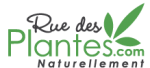 Ruedesplantes