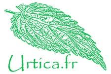 Urtica