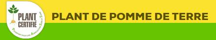 Plant-Pommes Terre