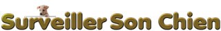 Surveiller Son Chien