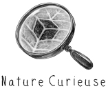 Nature Curieuse