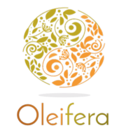 Oleifera