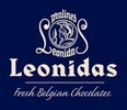 Leonidas-experience