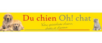 Du Chien Oh Chat