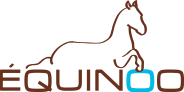 Equinoo