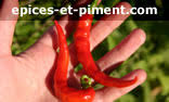 Epices-et-piment.com
