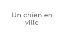 Un Chien En Ville