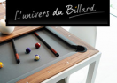 L'univers Du Billard