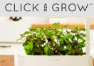 Click And Grow