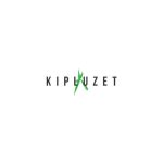 Kipluzet
