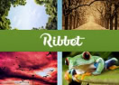 Ribbet