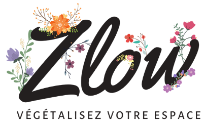 Zlow