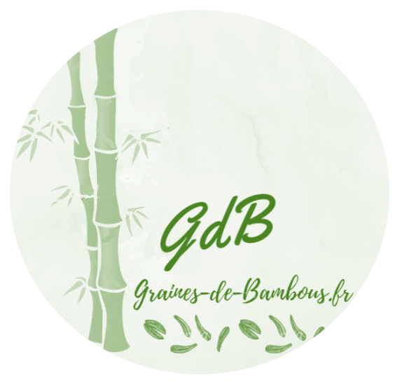 Graines Bambous