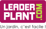 Leaderplant
